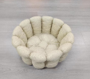 pet bed (2) (png)