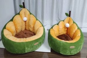 牛油果猫窝